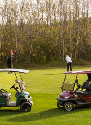 HomePage Gallery